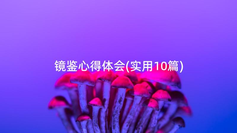 镜鉴心得体会(实用10篇)