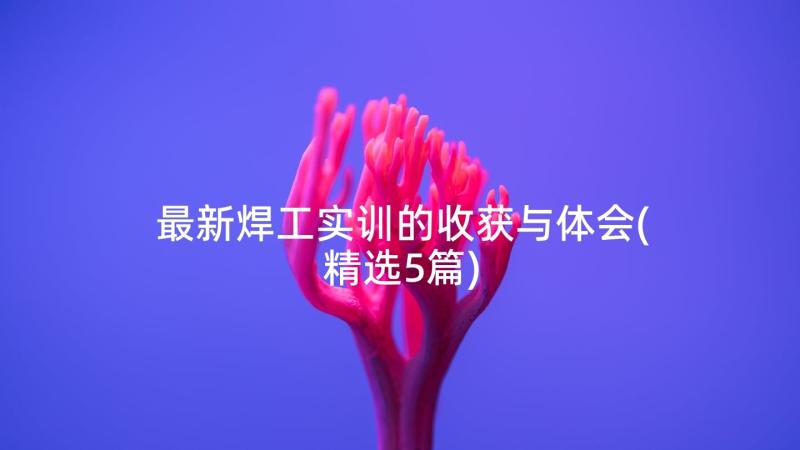 最新焊工实训的收获与体会(精选5篇)