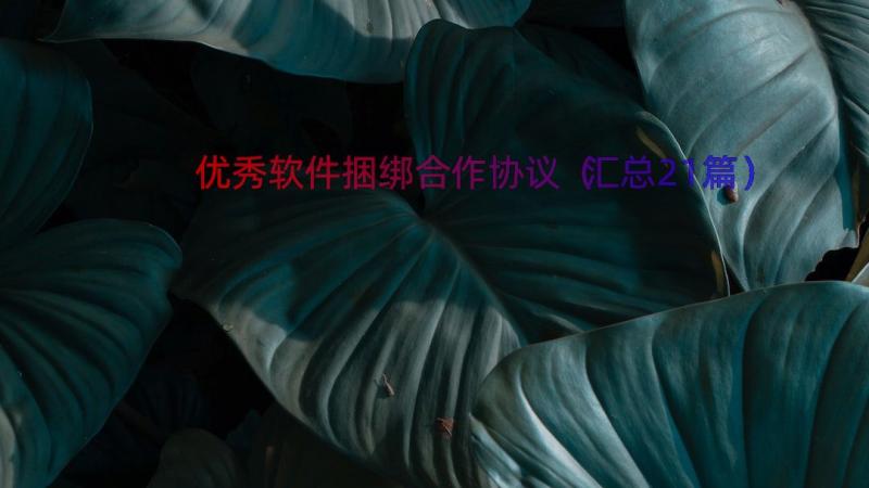 优秀软件捆绑合作协议（汇总21篇）