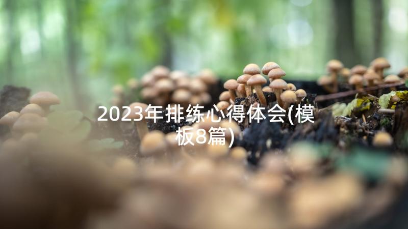 2023年排练心得体会(模板8篇)