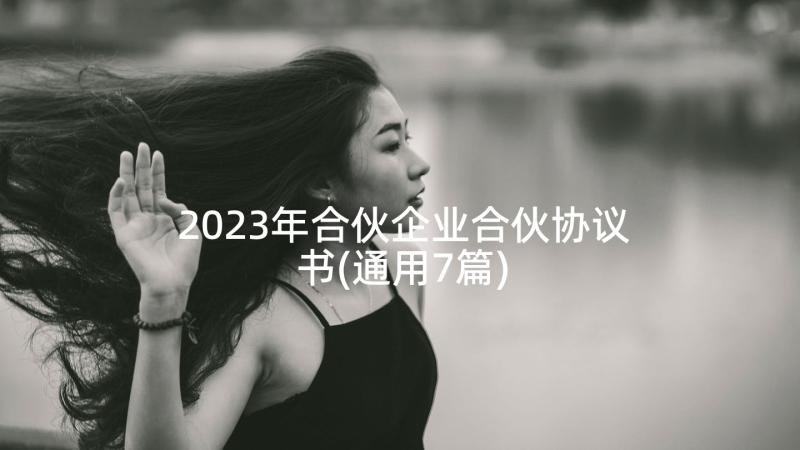 2023年合伙企业合伙协议书(通用7篇)