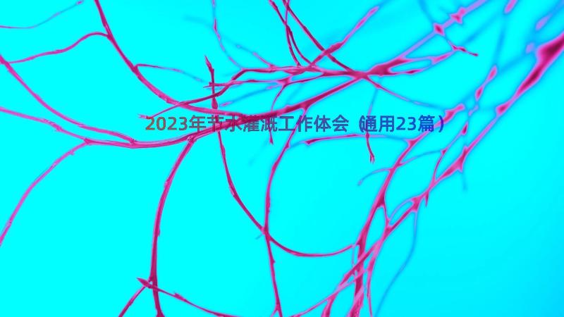 2023年节水灌溉工作体会（通用23篇）