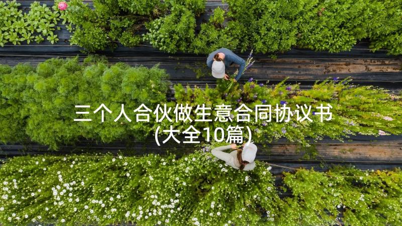 三个人合伙做生意合同协议书(大全10篇)