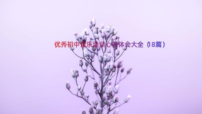 优秀初中音乐培训心得体会大全（18篇）