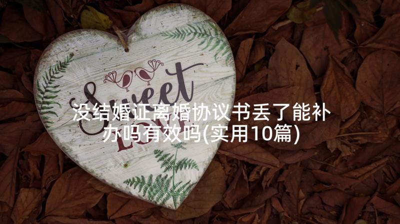 没结婚证离婚协议书丢了能补办吗有效吗(实用10篇)