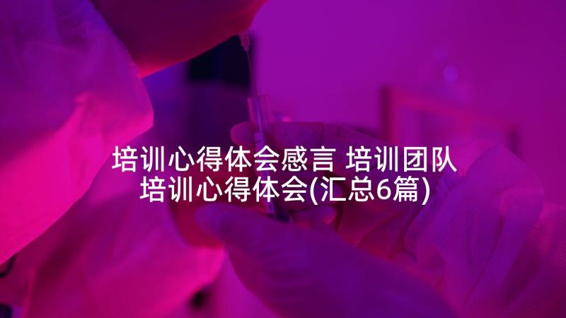 培训心得体会感言 培训团队培训心得体会(汇总6篇)