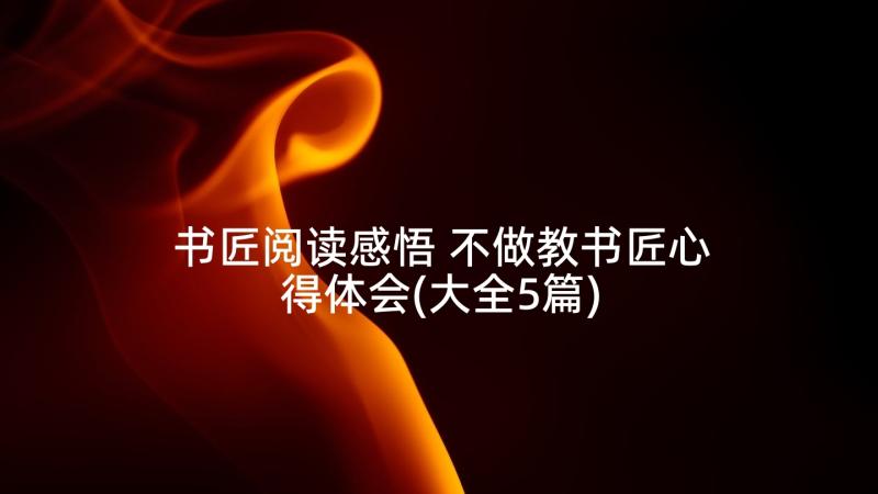 书匠阅读感悟 不做教书匠心得体会(大全5篇)