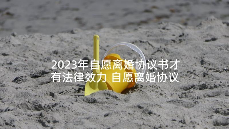 2023年自愿离婚协议书才有法律效力 自愿离婚协议书(精选8篇)