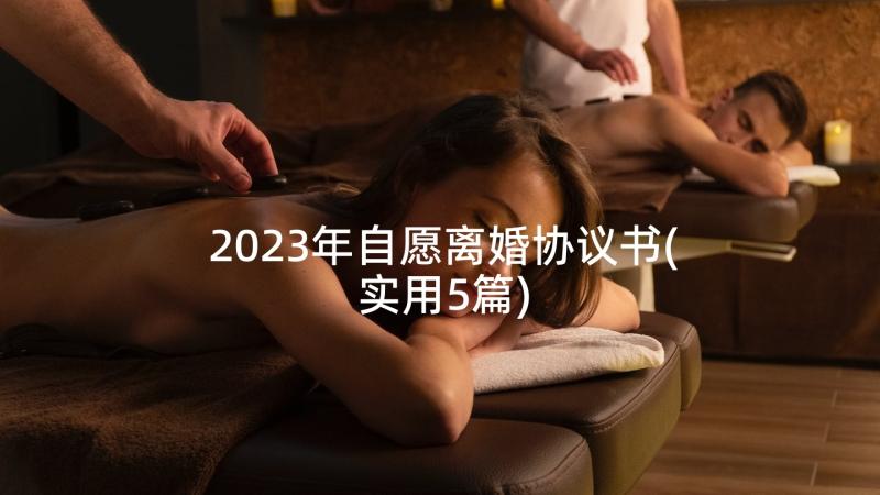 2023年自愿离婚协议书(实用5篇)