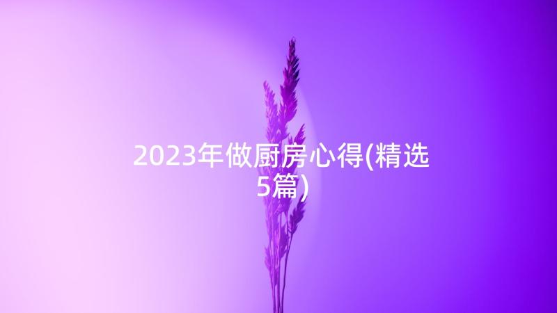 2023年做厨房心得(精选5篇)