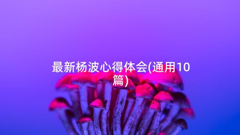 最新杨波心得体会(通用10篇)