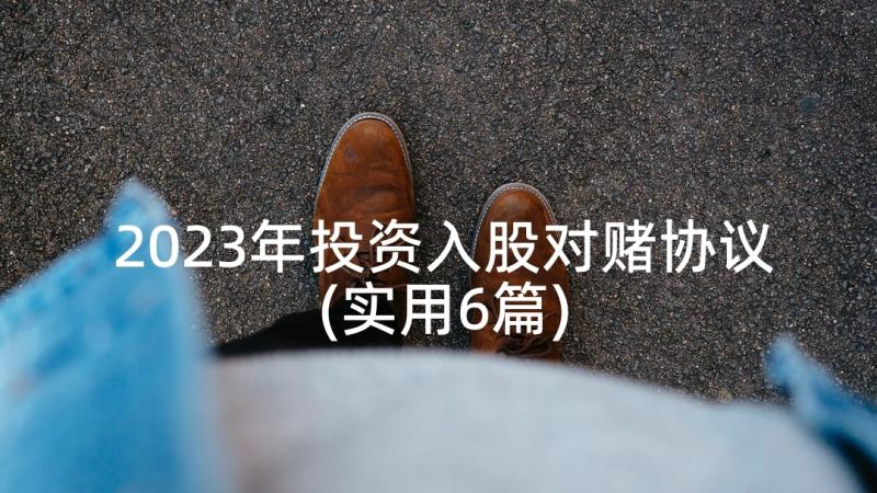 2023年投资入股对赌协议(实用6篇)