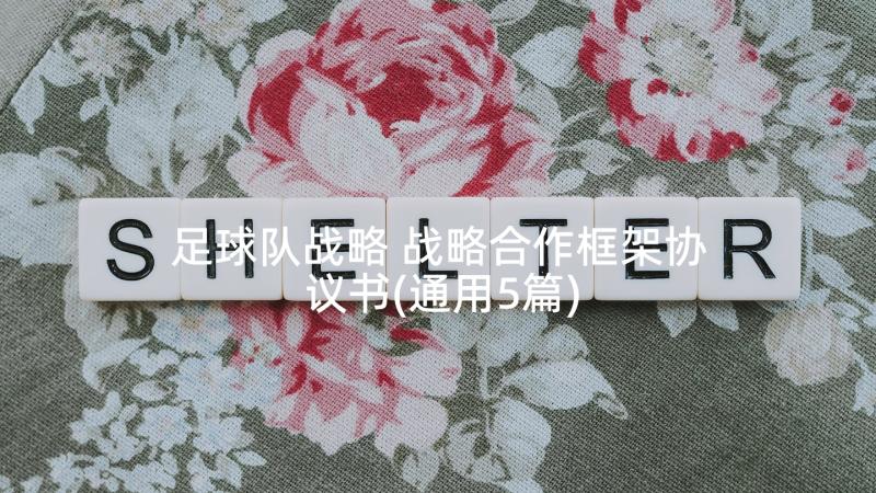 足球队战略 战略合作框架协议书(通用5篇)