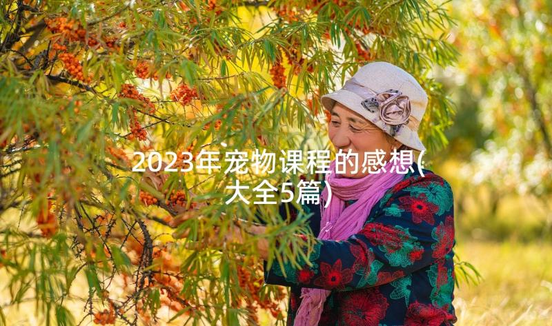 2023年宠物课程的感想(大全5篇)