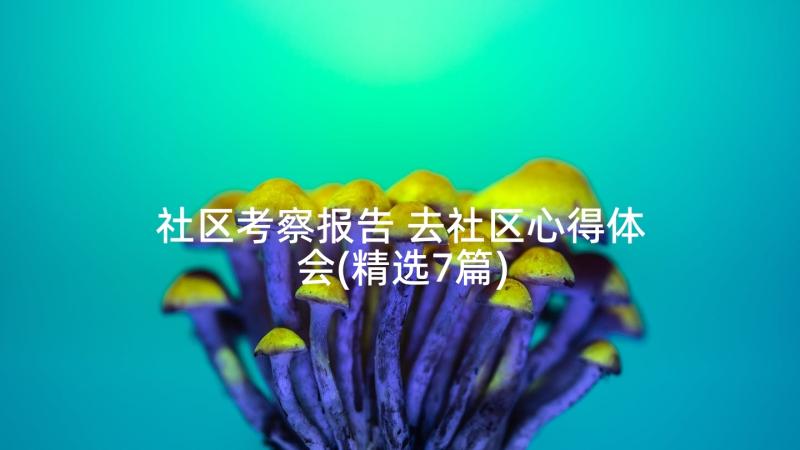 社区考察报告 去社区心得体会(精选7篇)