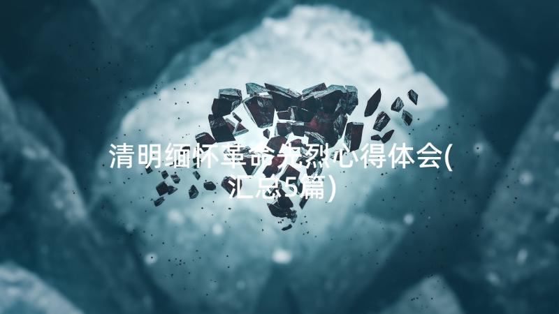 清明缅怀革命先烈心得体会(汇总5篇)