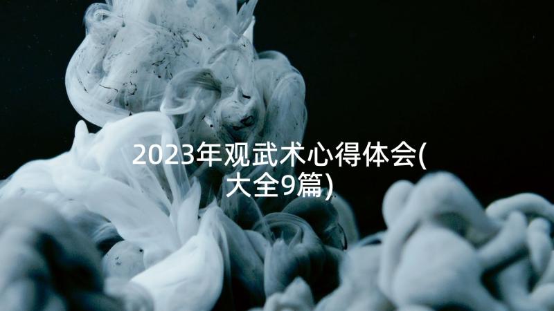 2023年观武术心得体会(大全9篇)