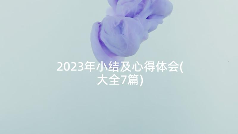 2023年小结及心得体会(大全7篇)