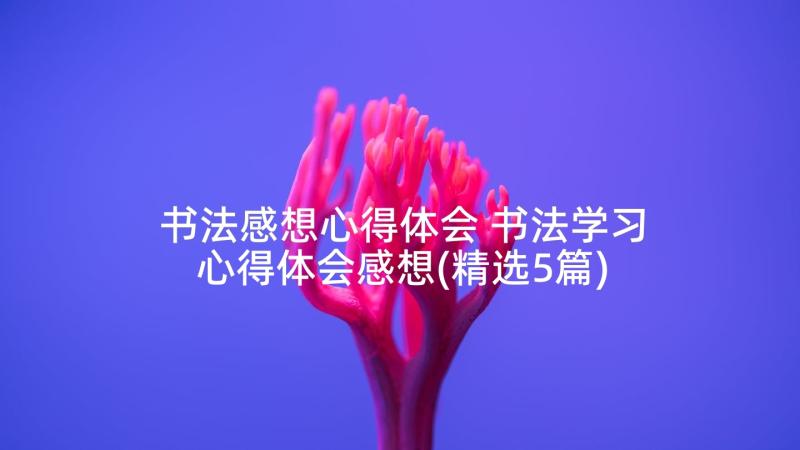 书法感想心得体会 书法学习心得体会感想(精选5篇)