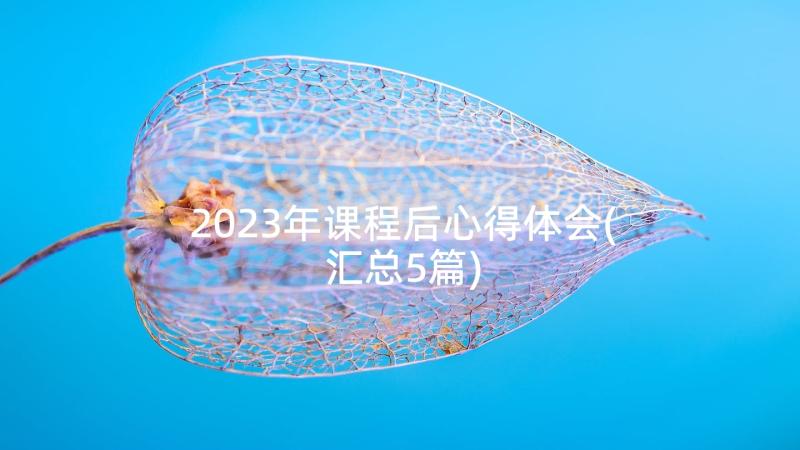 2023年课程后心得体会(汇总5篇)