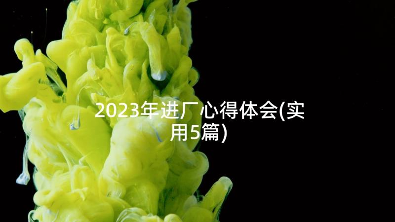 2023年进厂心得体会(实用5篇)