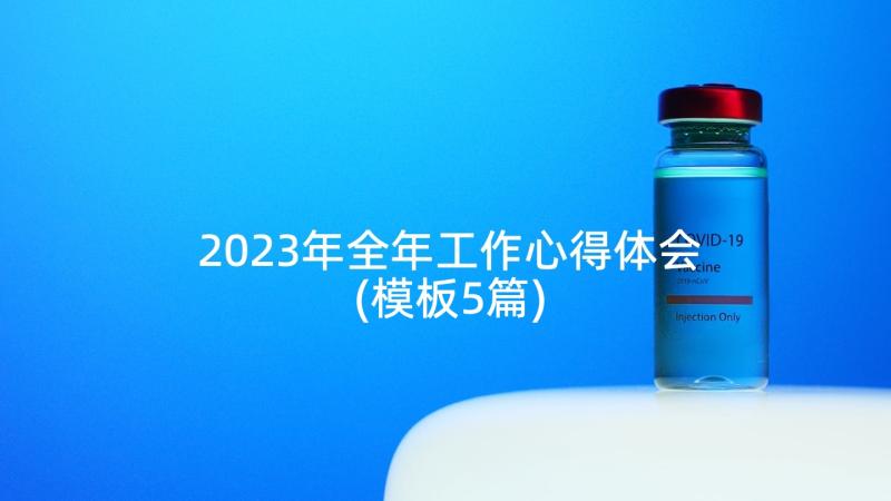 2023年全年工作心得体会(模板5篇)