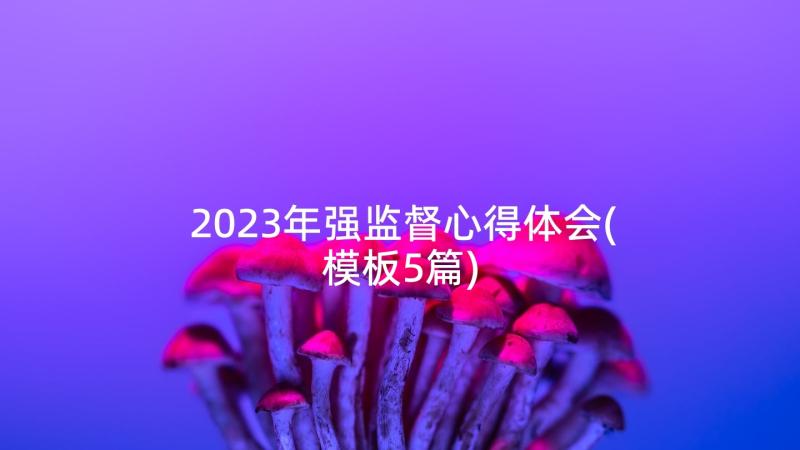 2023年强监督心得体会(模板5篇)