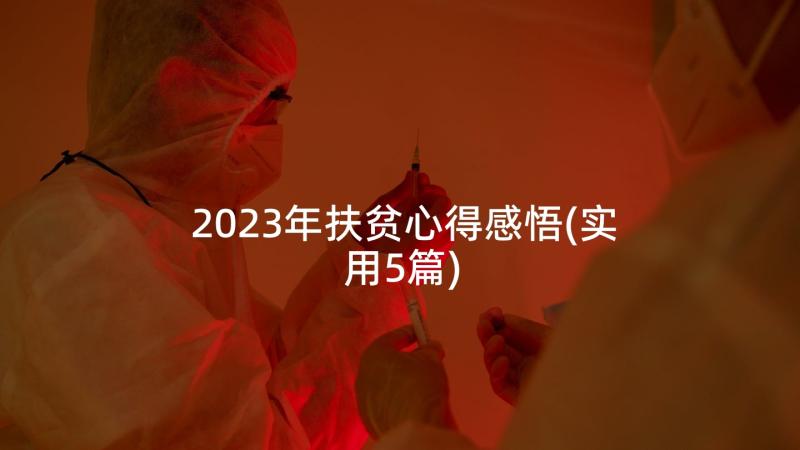 2023年扶贫心得感悟(实用5篇)