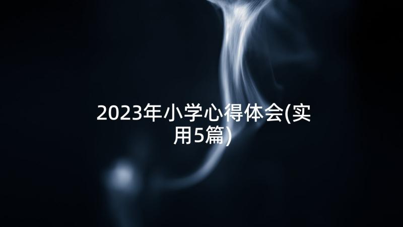 2023年小学心得体会(实用5篇)