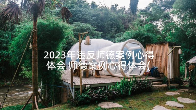 2023年违反师德案例心得体会 师德案例心得体会(实用5篇)