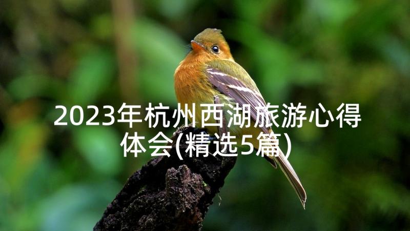 2023年杭州西湖旅游心得体会(精选5篇)