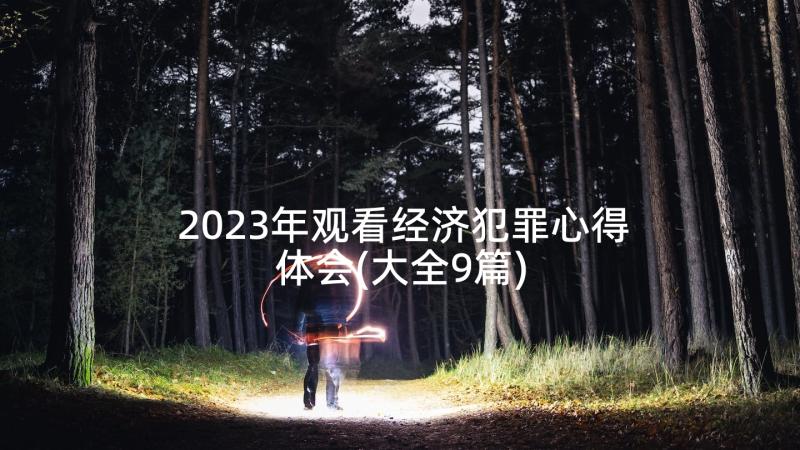 2023年观看经济犯罪心得体会(大全9篇)