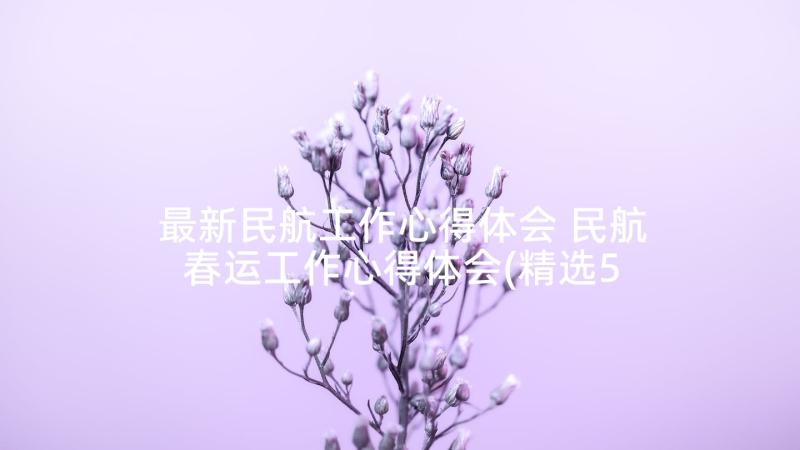 最新民航工作心得体会 民航春运工作心得体会(精选5篇)