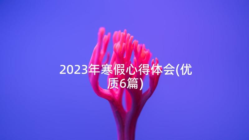 2023年寒假心得体会(优质6篇)