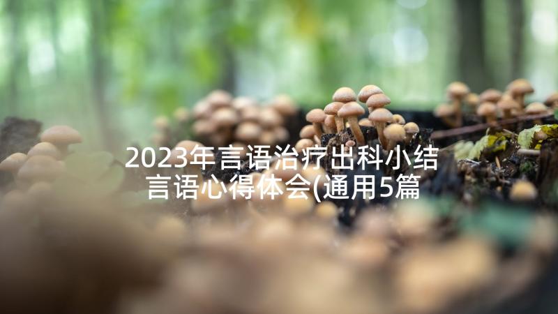 2023年言语治疗出科小结 言语心得体会(通用5篇)