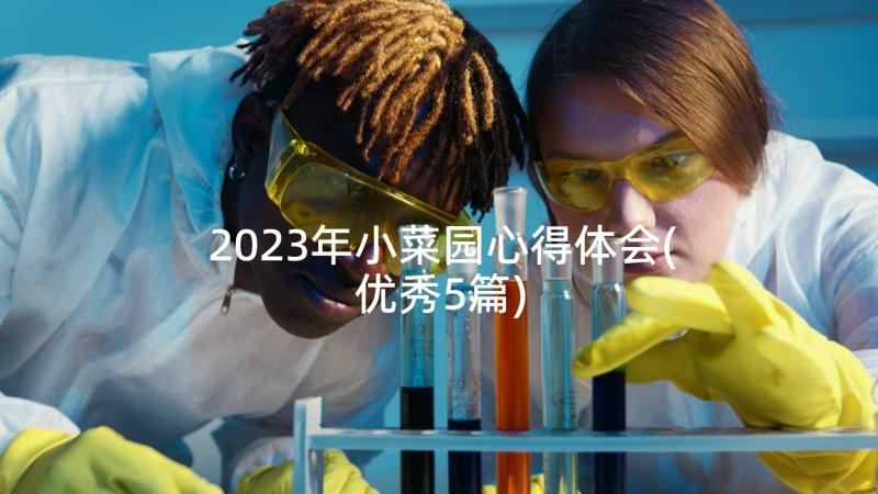 2023年小菜园心得体会(优秀5篇)