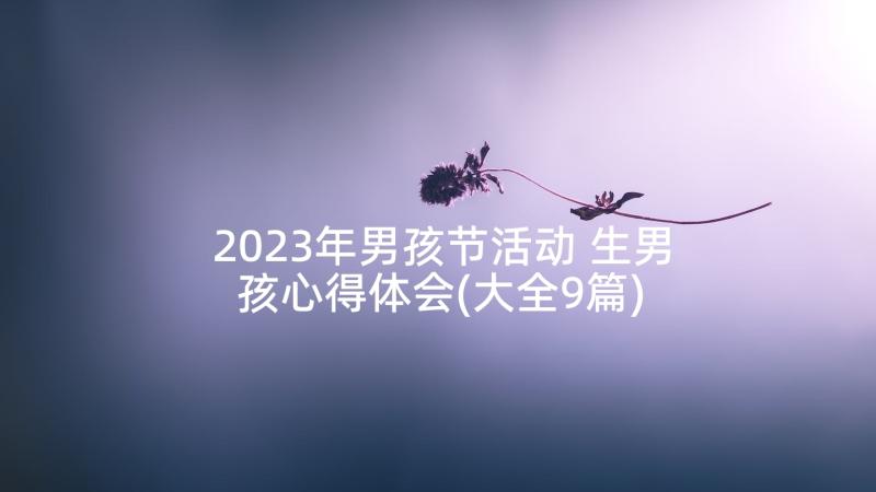 2023年男孩节活动 生男孩心得体会(大全9篇)