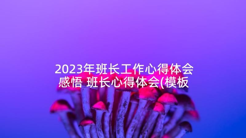 2023年班长工作心得体会感悟 班长心得体会(模板8篇)