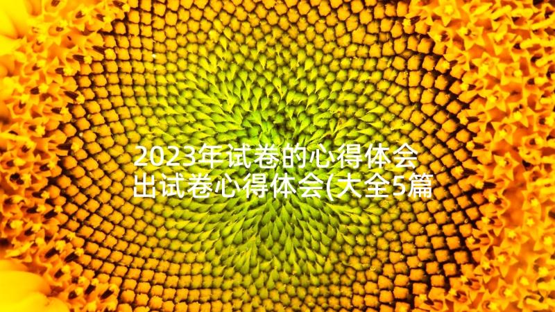 2023年试卷的心得体会 出试卷心得体会(大全5篇)