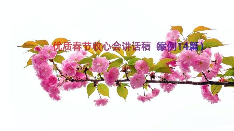 优质春节收心会讲话稿（案例14篇）