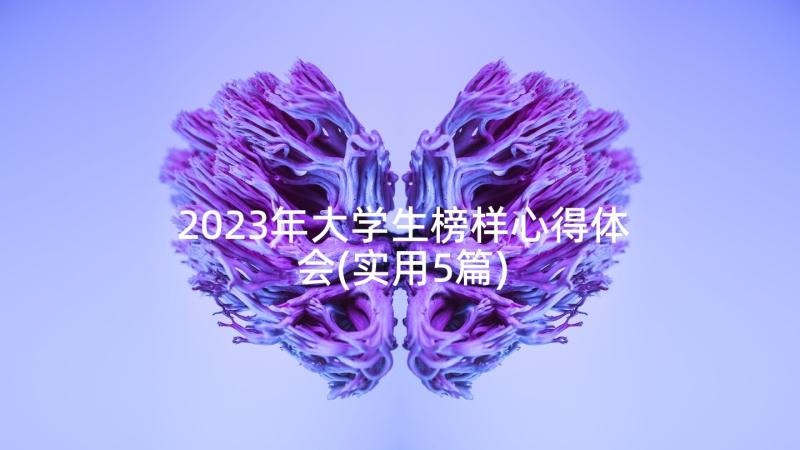 2023年大学生榜样心得体会(实用5篇)