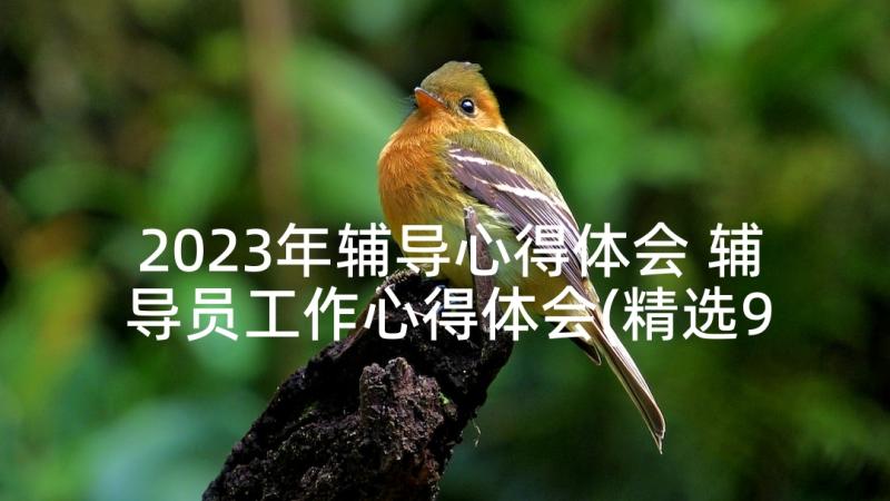 2023年辅导心得体会 辅导员工作心得体会(精选9篇)