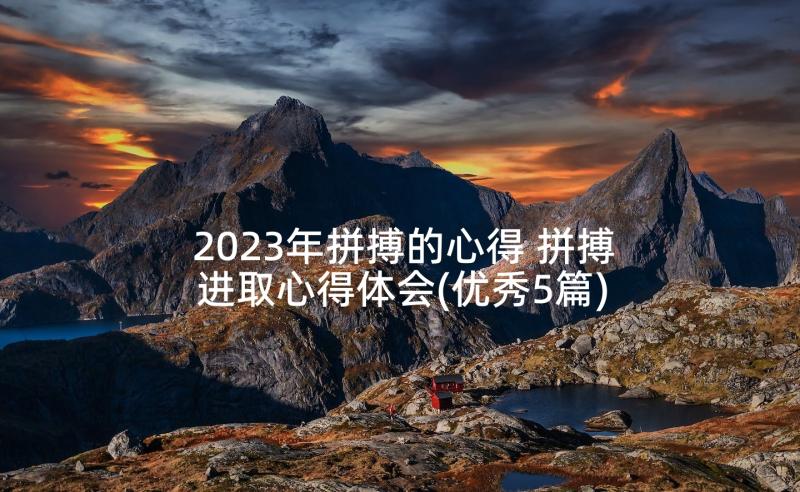 2023年拼搏的心得 拼搏进取心得体会(优秀5篇)