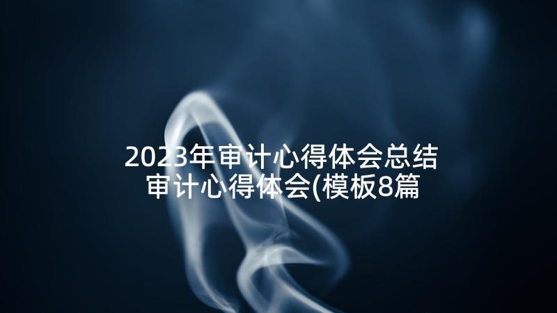 2023年审计心得体会总结 审计心得体会(模板8篇)