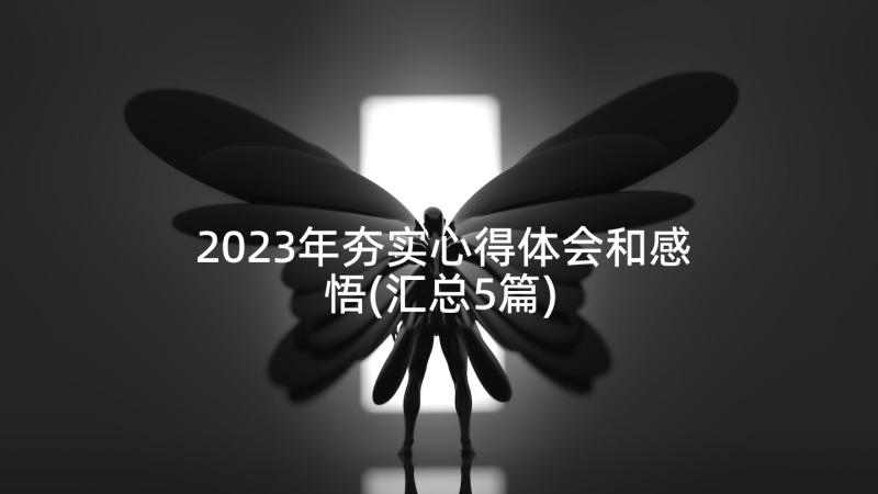 2023年夯实心得体会和感悟(汇总5篇)