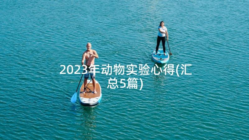 2023年动物实验心得(汇总5篇)