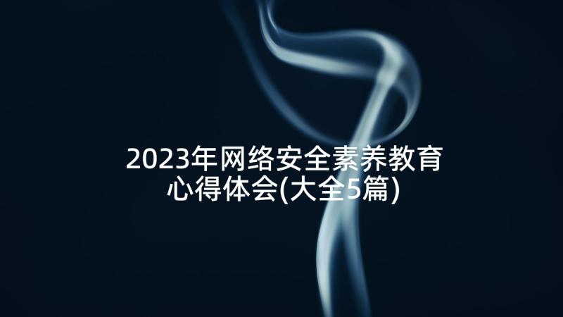 2023年网络安全素养教育心得体会(大全5篇)