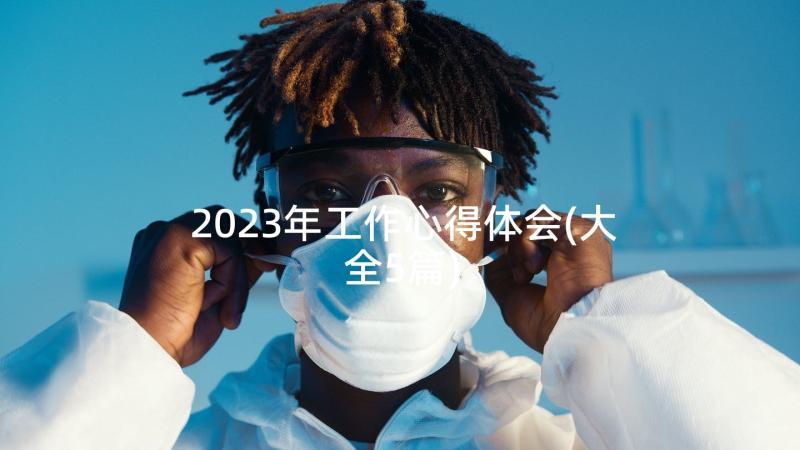 2023年工作心得体会(大全5篇)