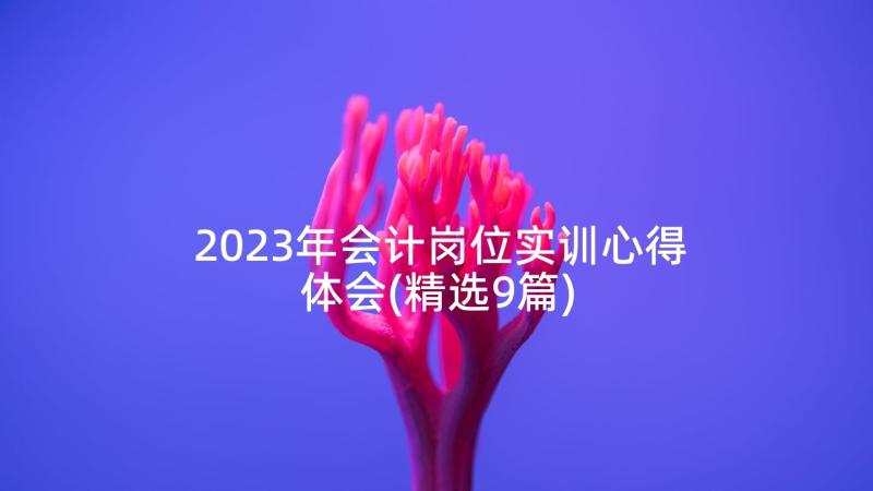 2023年会计岗位实训心得体会(精选9篇)