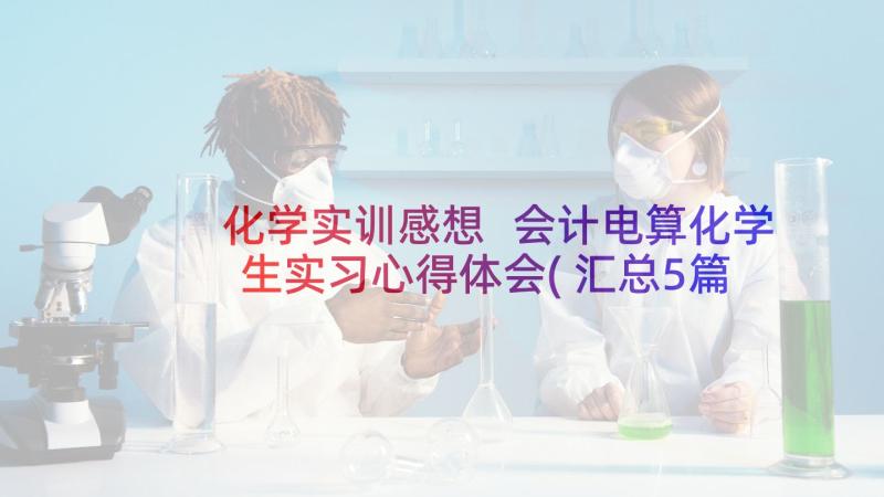 化学实训感想 会计电算化学生实习心得体会(汇总5篇)